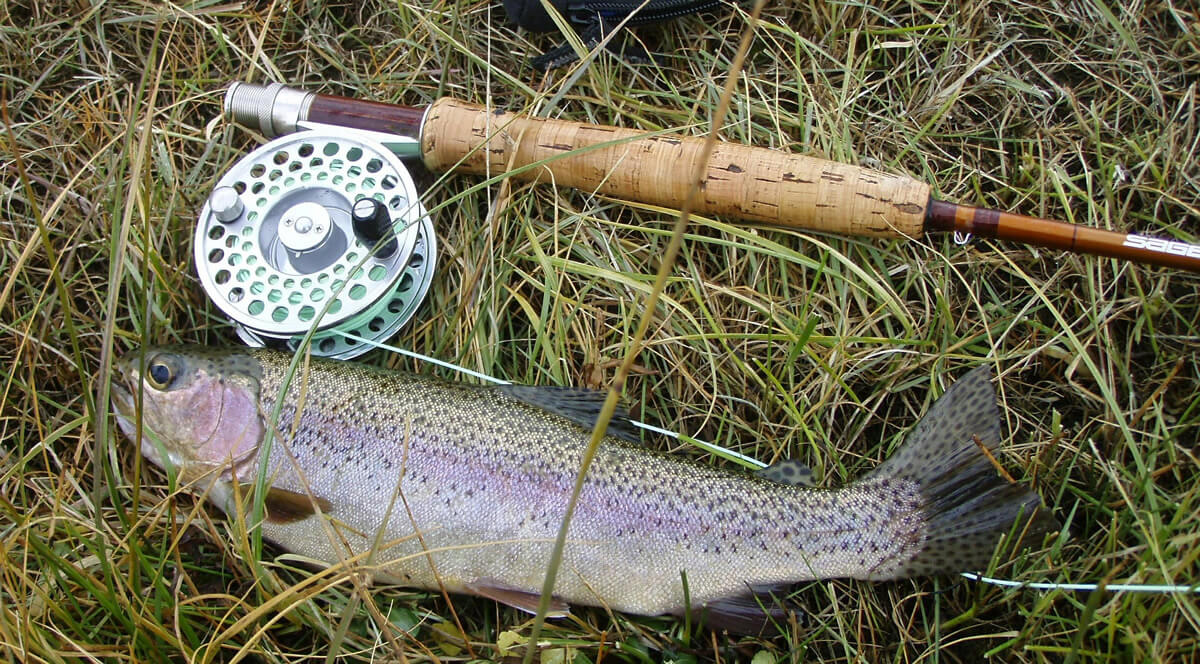 trout fishing tips